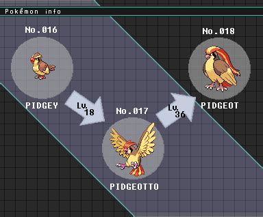What Level Does Pidgeotto Evolve At .